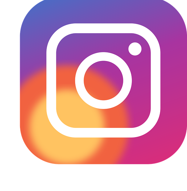 How to Increase Instagram Followers for Free in 2024: A Complete Guide