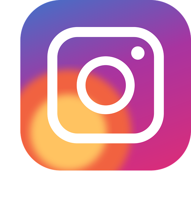  How to Increase Instagram Followers for Free in 2024: A Complete Guide